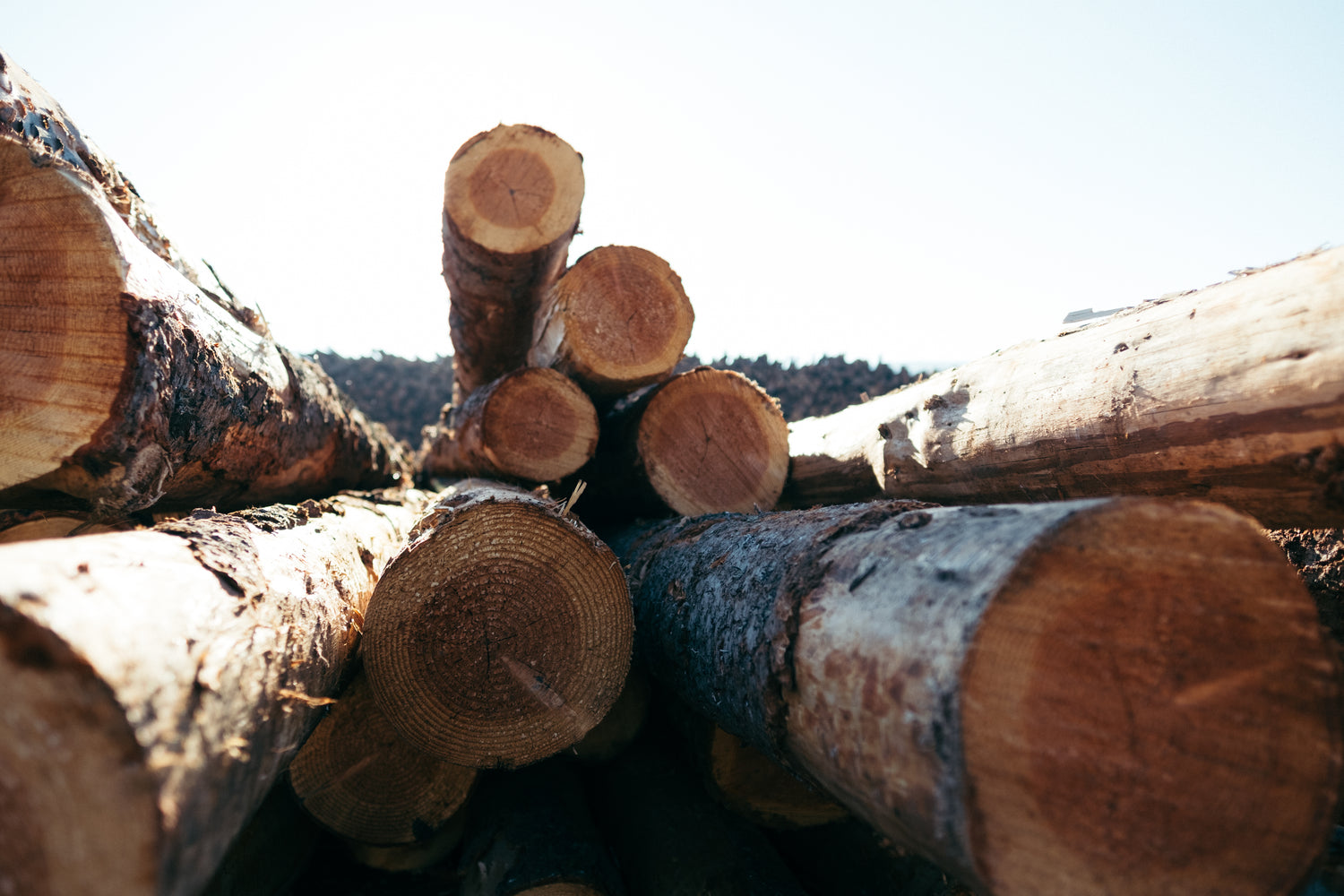 Log Grab Armidale 