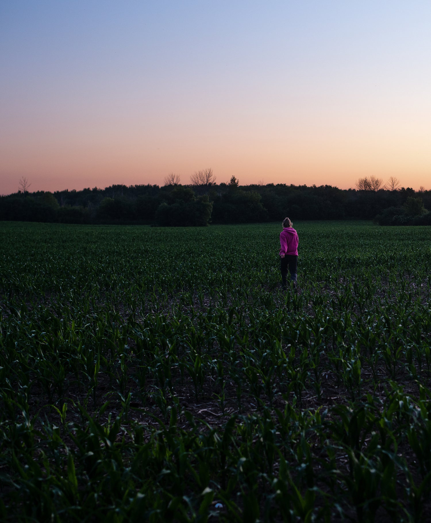Farm and land cleaning 